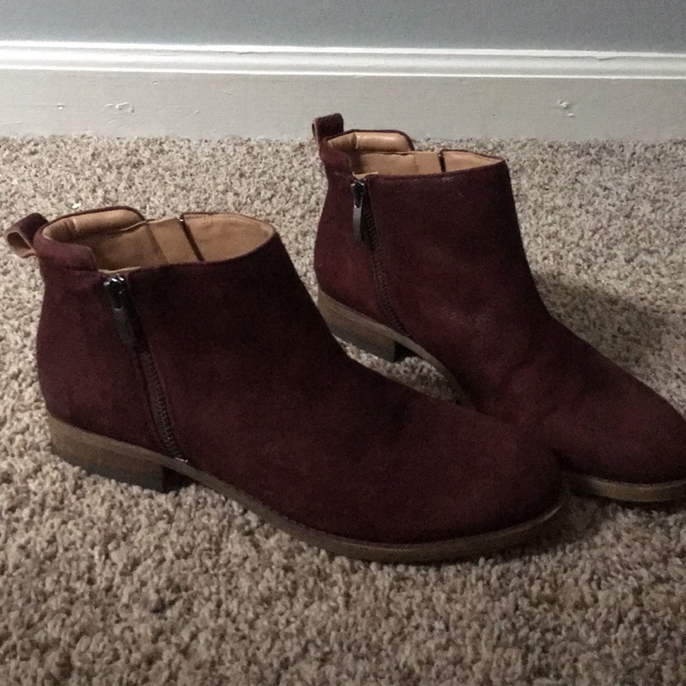 Franco Sarto boots / booties